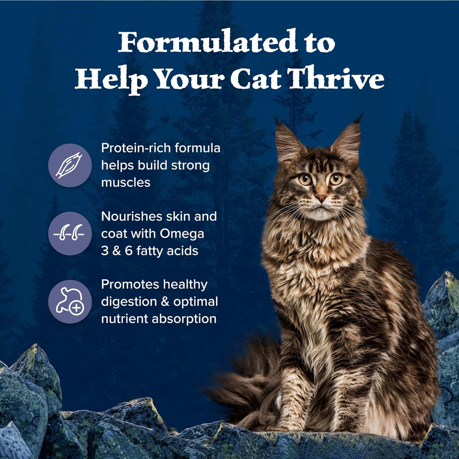 Wilderness High Protein Grain Free, Natural Adult Dry Cat Food