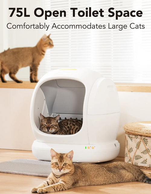 Load image into Gallery viewer, Smart Automatic Self-Cleaning Cat Litter Box, APP Control/Integrated Safety Protection,White
