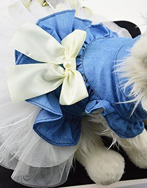 Load image into Gallery viewer, Dog Dress Cowboy Bow Jumpsuits Pets Party Clothes for Puppy Cat Lace Skirt Mesh Princess Tutu Dresses
